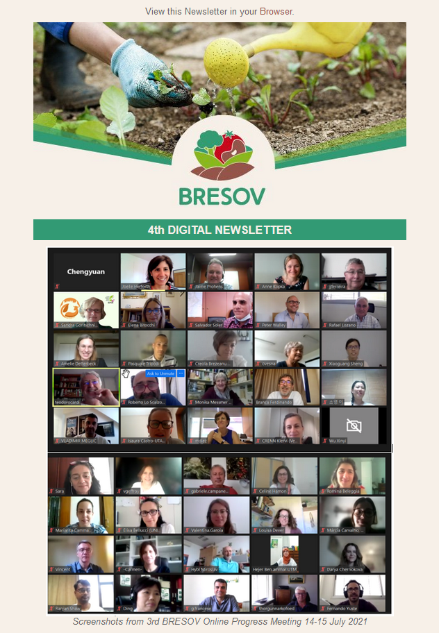 Newsletter
